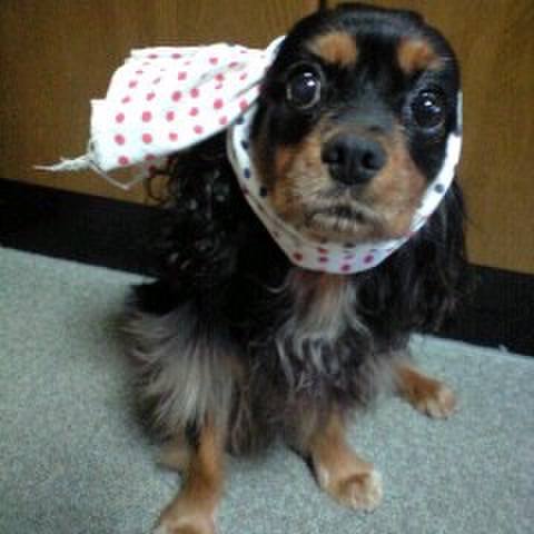 7941188d 653e 4b12 85c8 4dbe20e52f31 1599728114141