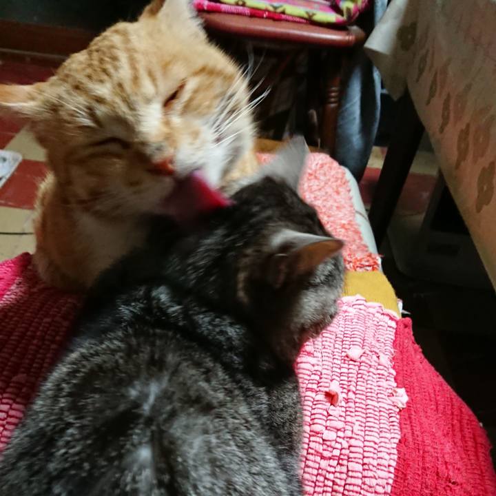 7941473f 691a 407a a0b7 a51344f5abc8 1554638385126