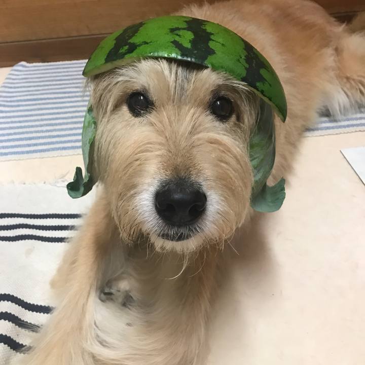 794167eb 2fa6 4472 82cc 271dd6fd3fc8 1692427771868