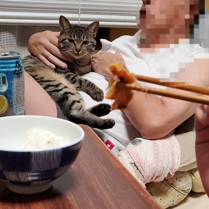 7941713c 03c2 4bbc b257 76b4a86df921 1696342079426