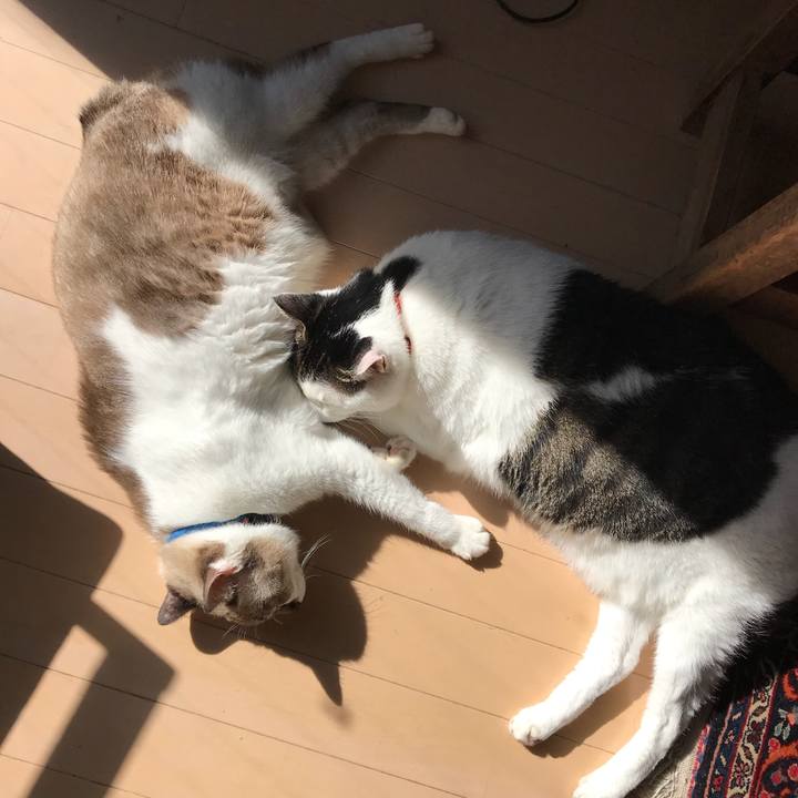 794187d5 7017 4605 8fd3 bc88b35acd93 1508733782194