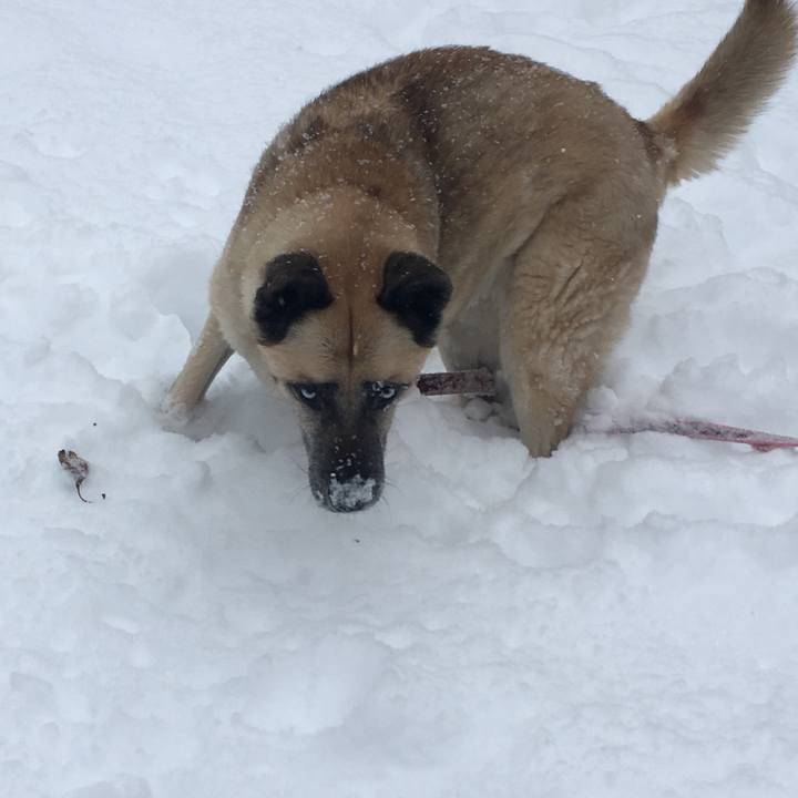 79418926 beed 4d30 b177 4adac18c034e 1518300486649