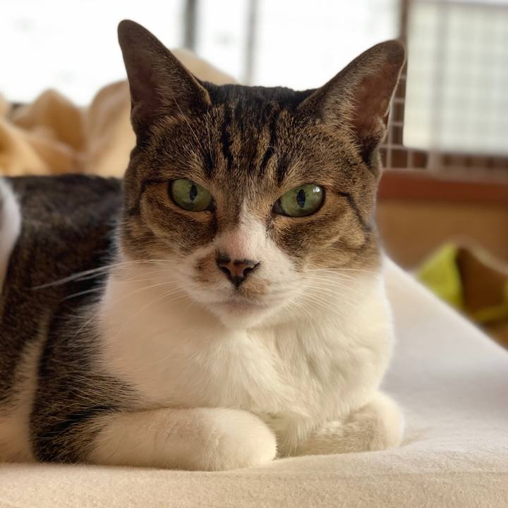 79419606 a813 4bf1 a5f0 4d96f9c055c8 1602898476007