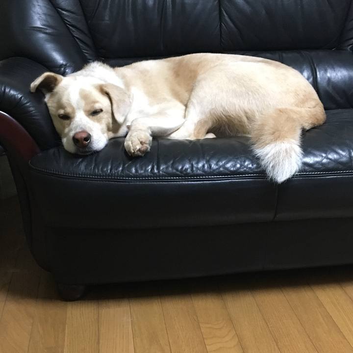 7941b402 8794 4568 95ac 2cafd4c70731 1532871150315