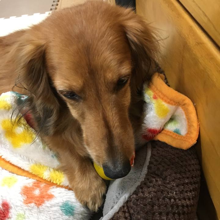 7941b7a0 1277 4b26 892d 744842052cbd 1520246559114