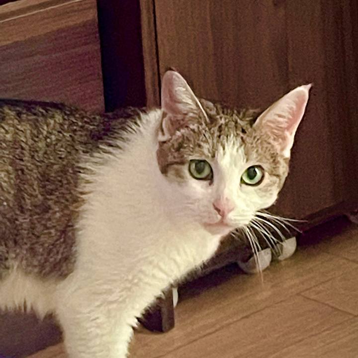 7941c666 fc2e 46f3 aed6 67f7465dd295 1627418456450