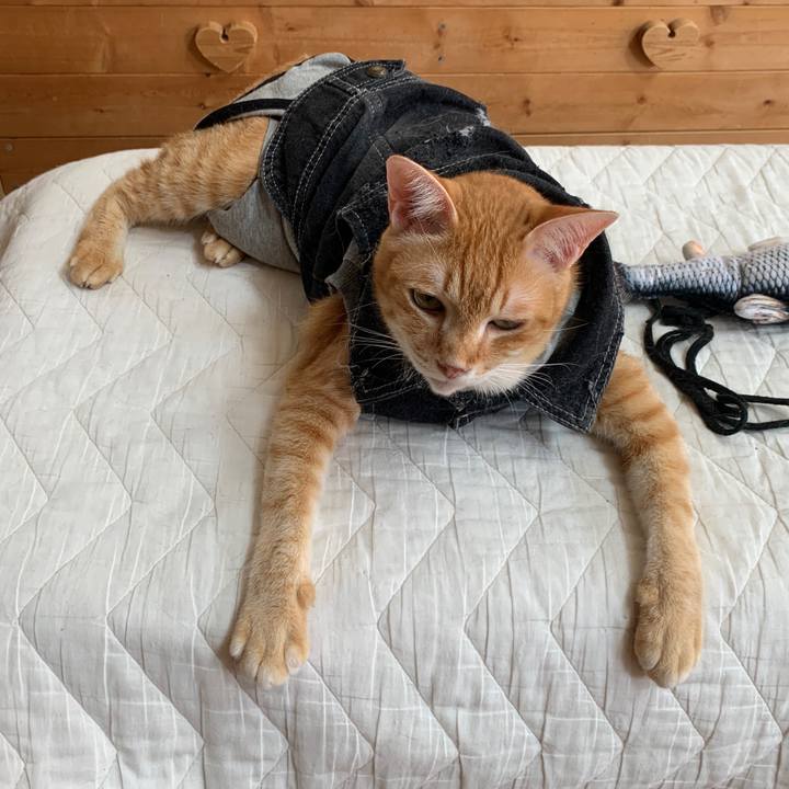 7941ca9b 87f7 4ad8 9e07 5752c8e713df 1658291174479