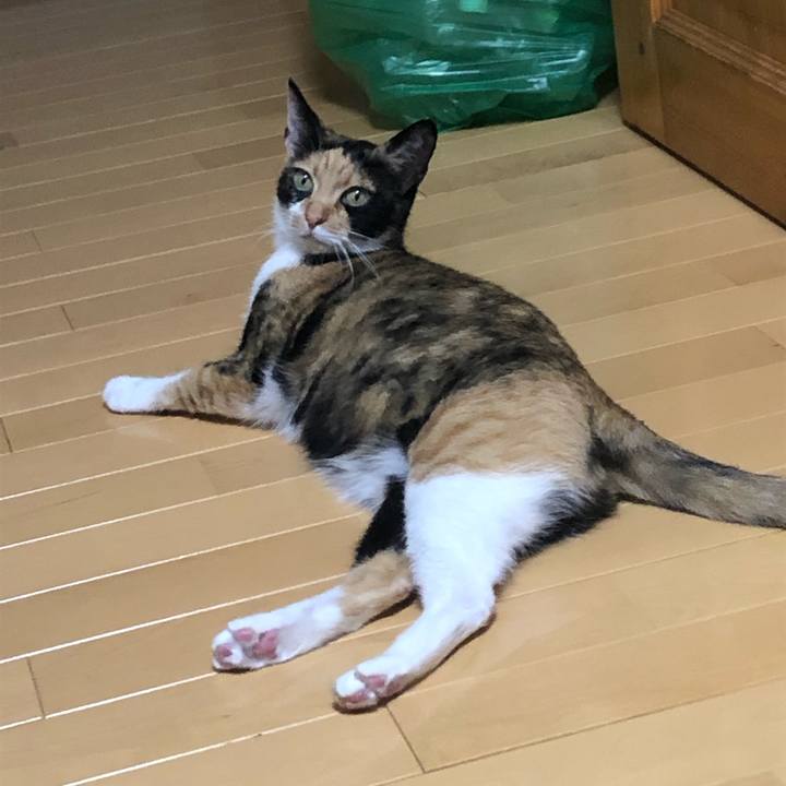 7941d823 b15f 467a 9238 458425c6e6f8 1595158581553