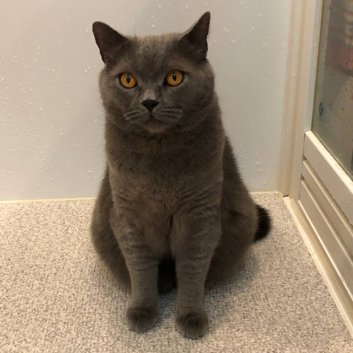 7941e520 2b0c 4f38 a343 fe1766606f87 1529475853144