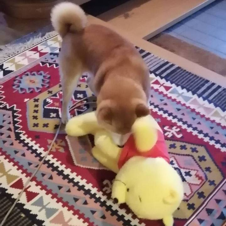 7941e685 49c7 4ea0 8eee e102ef386c02 1589965480266