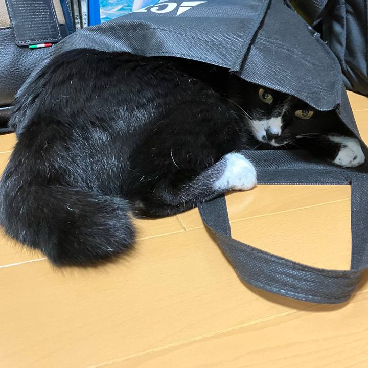 7941e79b f7f9 428e 8463 2c0604628dc6 1765424894437