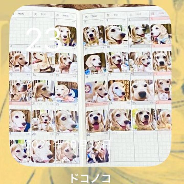 7941f166 7754 474d b380 6e81a9676755 1698020054443