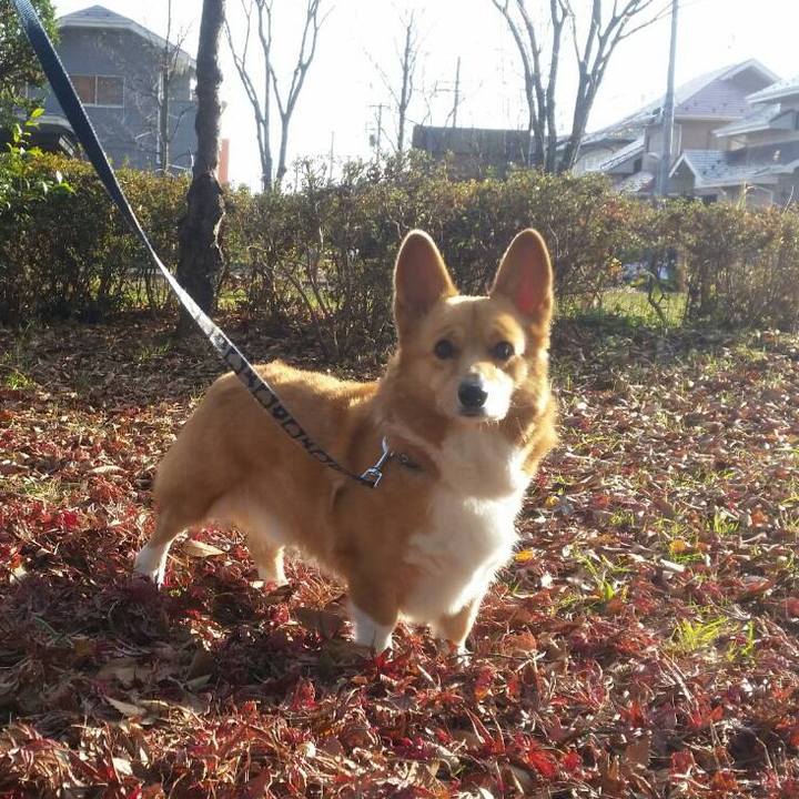 7941fefa ac48 4935 8920 ccfbfc2e1129 1508130197723