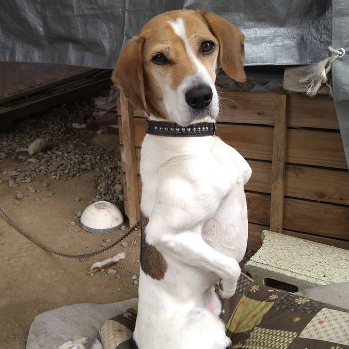 7942398b 4d6c 4001 a6c7 2c598b5eeb58 1645110535064