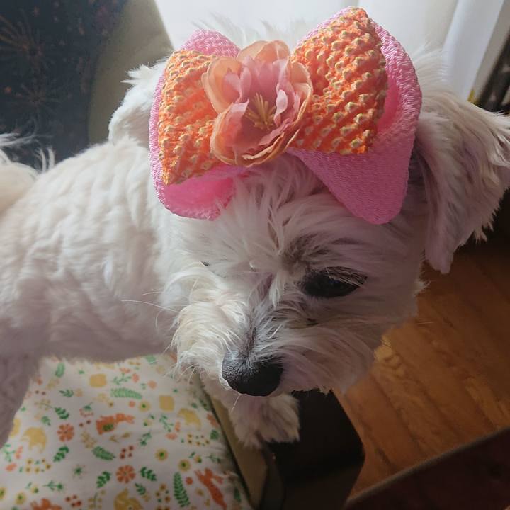 79429b70 5c41 447a b1aa 22d9fed85338 1646831691078