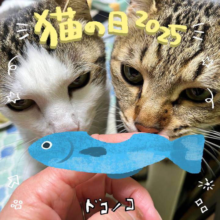794341d7 3adc 4db0 8fb9 a0abe6b86715 1740196898571