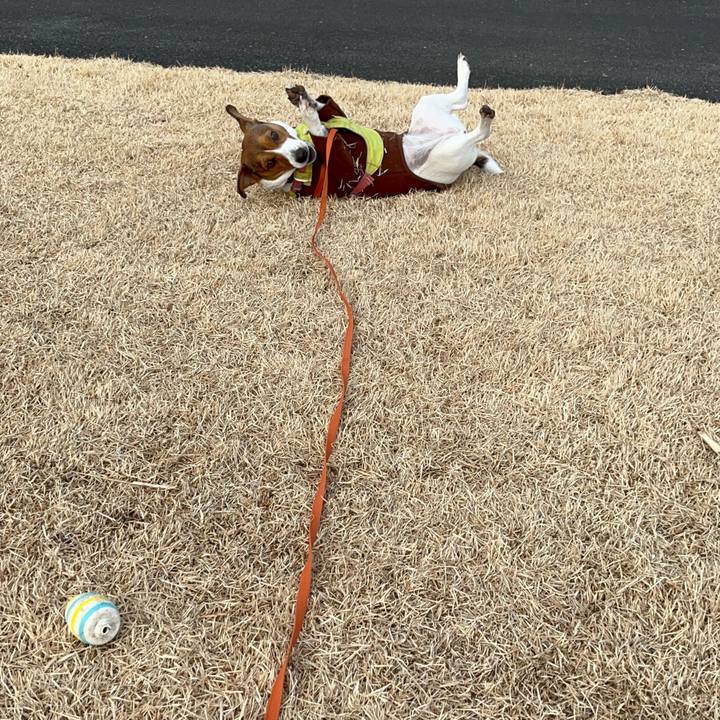 79436ee7 6afe 4bc7 bc37 c07e120af60e 1738486954653