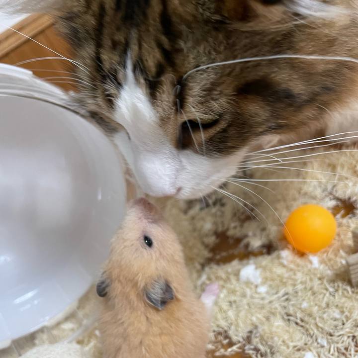 79438441 471e 47c9 ba14 aceeb2f3ba53 1645924547587