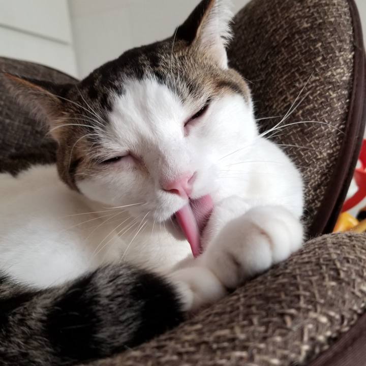 7943c2ad 2d3e 4113 8ad9 73d5b2c456bc 1574403320548