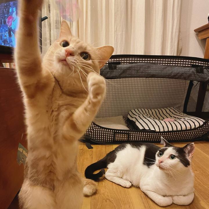 7943dd88 d22e 4dd8 a4a6 3a3362ad2573 1652195282144