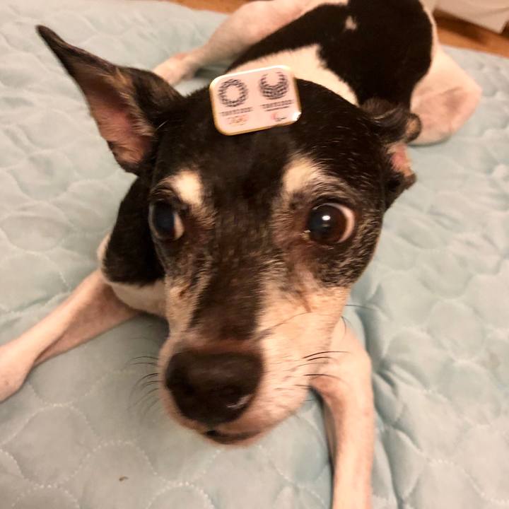 79442e71 f4cc 4fbd bf34 65c5b397a2ba 1564014712560