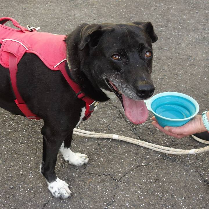 7944382a c8fc 467a 92c3 877ca9bf858c 1686186294005