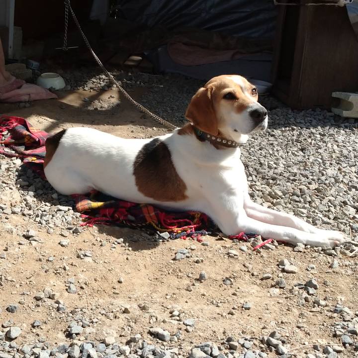 79445b66 9884 4088 85e6 787fccd09066 1616128906662