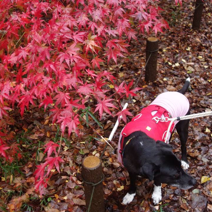 7944969b d846 4c0d b954 cea1d66c2959 1670285653385