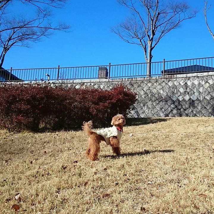 794497d2 f513 482b b24a 99b802a8d1aa 1513822139744