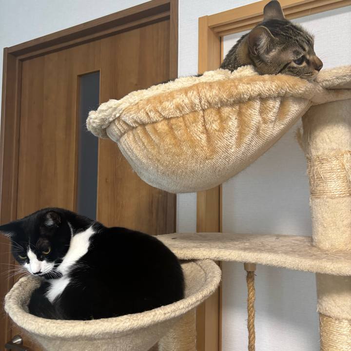 7944b7d8 1483 4380 b625 734c7484f246 1766626637182