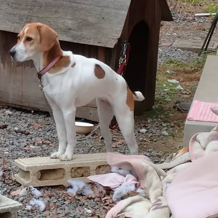 7944d280 4d51 4fa6 9715 80446fbb68cf 1579230863379