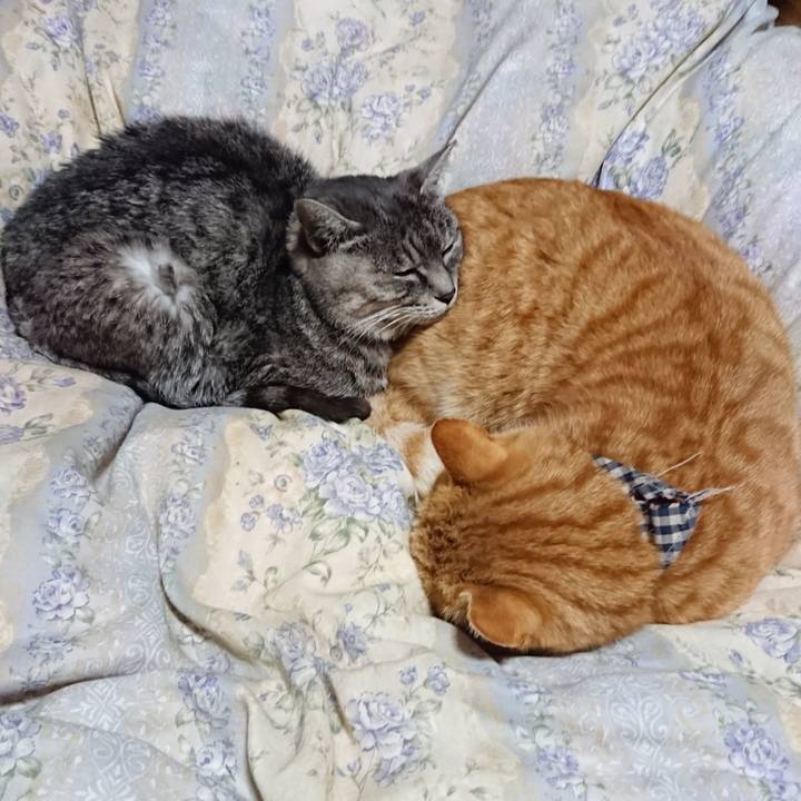 7944e926 3aba 499b a16b f4378b9d45b3 1575635562548