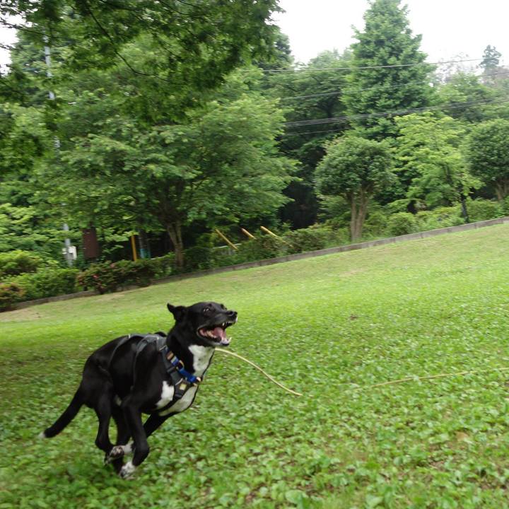 79451328 b781 446d 8cc5 96686b1b7e63 1653093112134