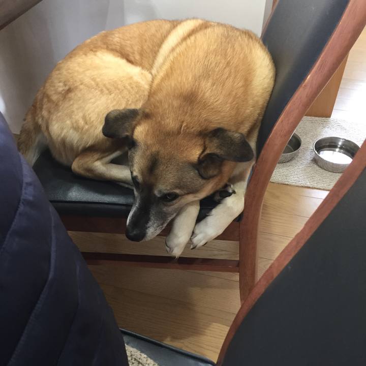 794567ec fca4 4758 a668 176e5afaa00f 1517018838276