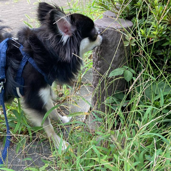 79456809 9882 44c4 a1e7 b7cb119ae263 1662272010375