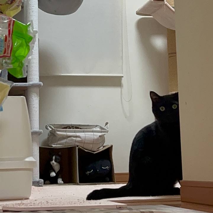 79458d0f dbdc 4cd6 928f 0fa7905ce283 1690940334734