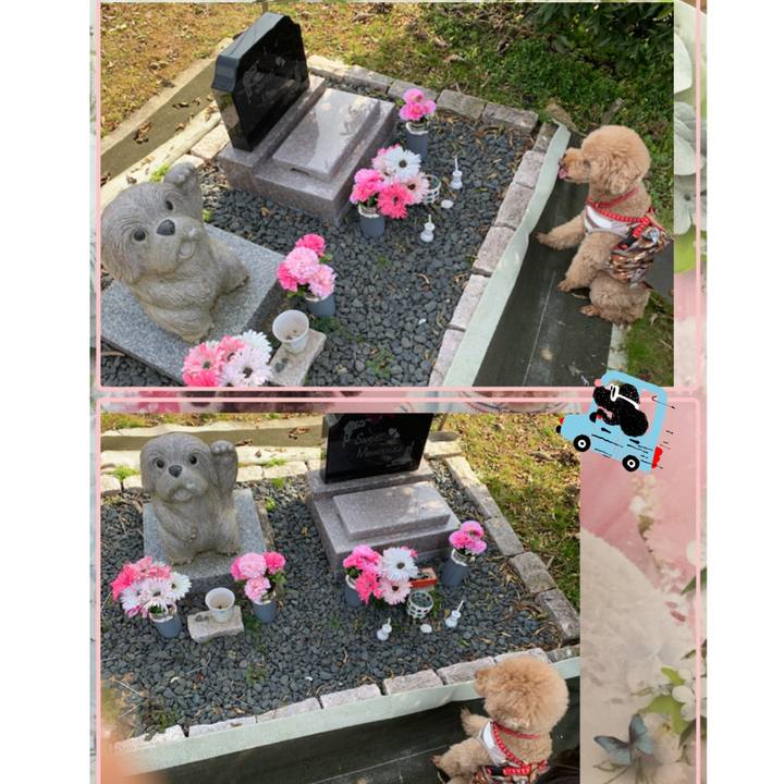 79459337 5278 4cd4 bb62 aec3a8a040ad 1550987600713