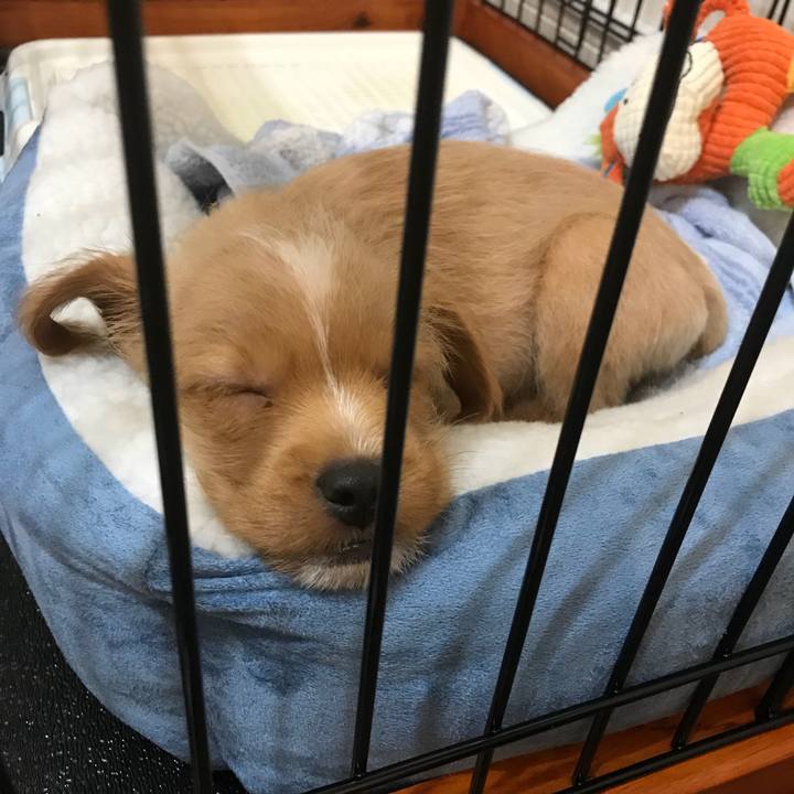 79459f8b e254 4777 9841 03ab8a65957d 1516274503311