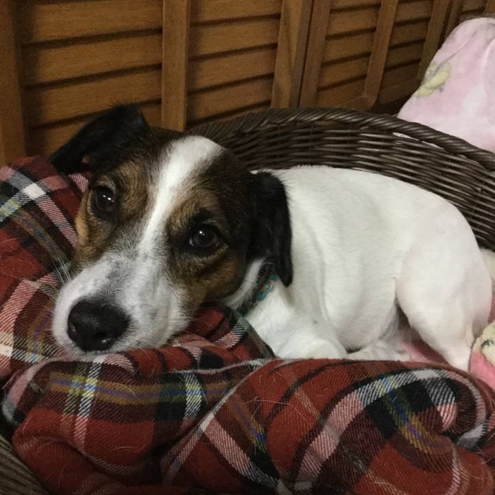 7945dcaf 39e9 43e6 870a b10248106eae 1508064527883