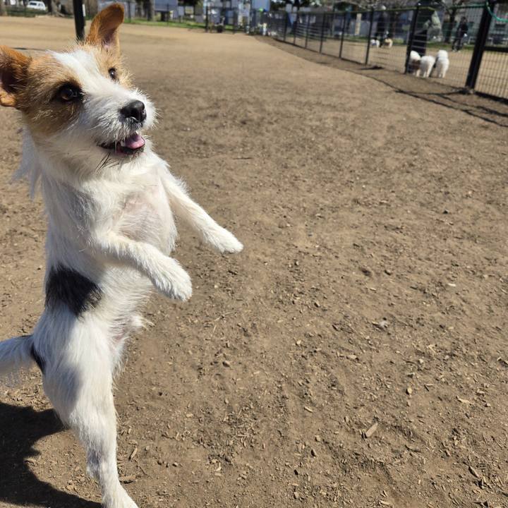 79460b3b 080b 4d82 bcf3 20f55653a561 1773496318242