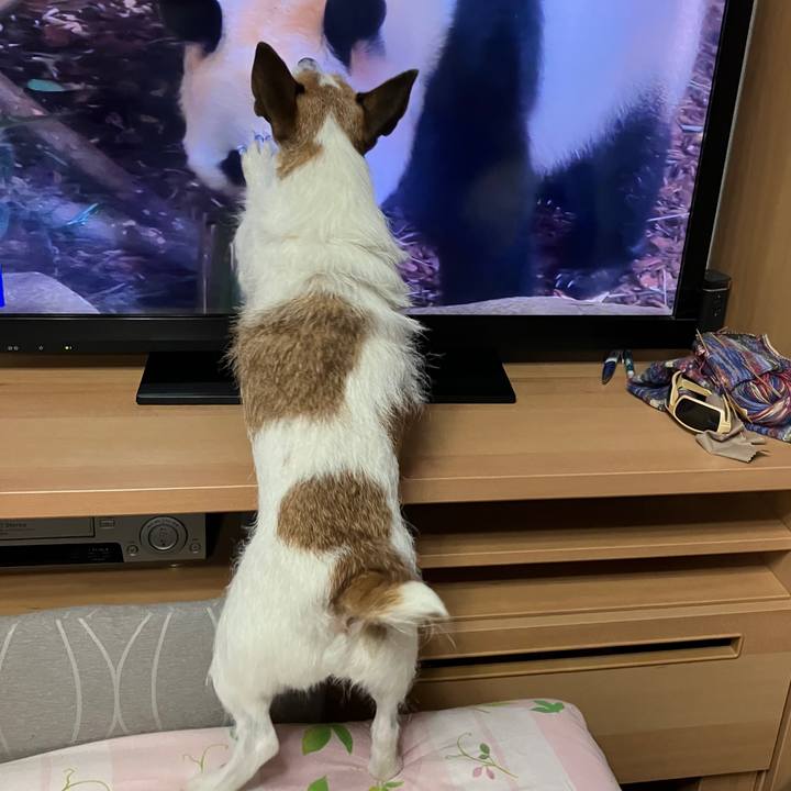 79460fee 6b0c 4d2d a93e 816ce69cbc77 1694647368945