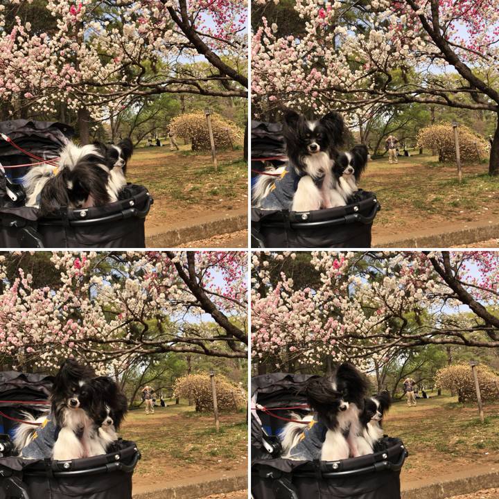 79464fc6 5749 4983 ac27 9904f36c40f8 1522751974596