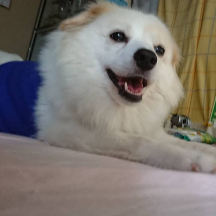 79465474 1753 4ccc 83c8 fed2882ffe24 1536098292356