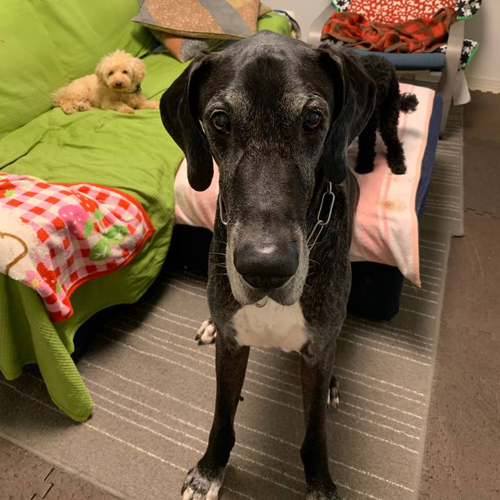 79467978 80a3 44c1 a7a8 565de3383bc1 1594593818377