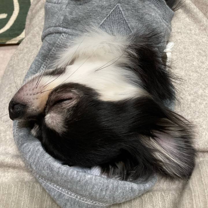 7946a50b dc90 4651 b6af 12f2d43505c6 1642862551826