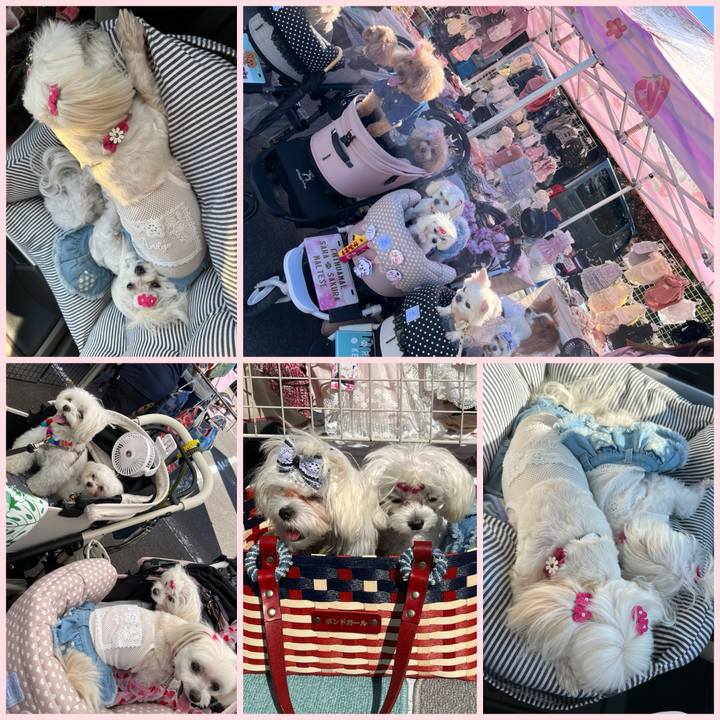 7946ca1b 3f0f 47a4 8a3b 777beadb8a27 1728807969324