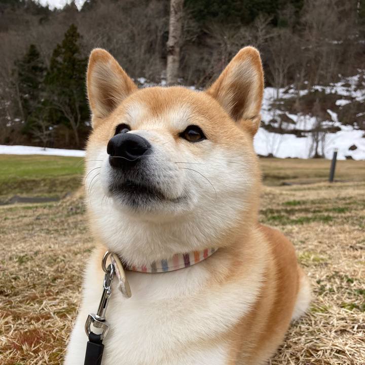 7946d0ef 62d3 46ca af6c 720694a875fe 1648386038680