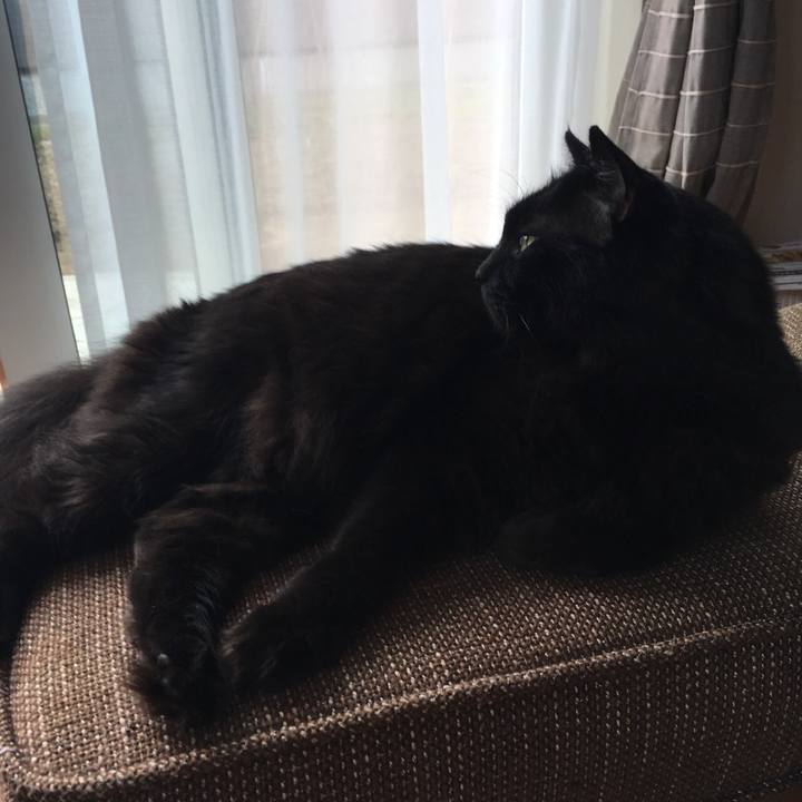 7946f20f 6830 4d67 bae9 eb5686130cb0 1529838743519