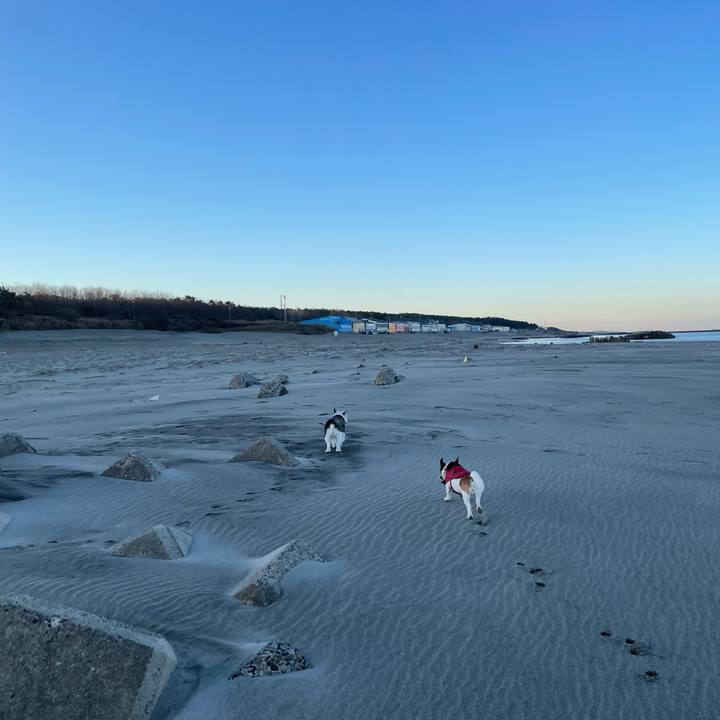 79473634 11be 487a bd8d dd5054629d49 1704410937281