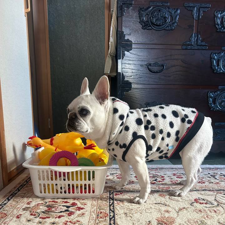 794737fd 5198 4037 b4f8 d529a314d440 1768632331461